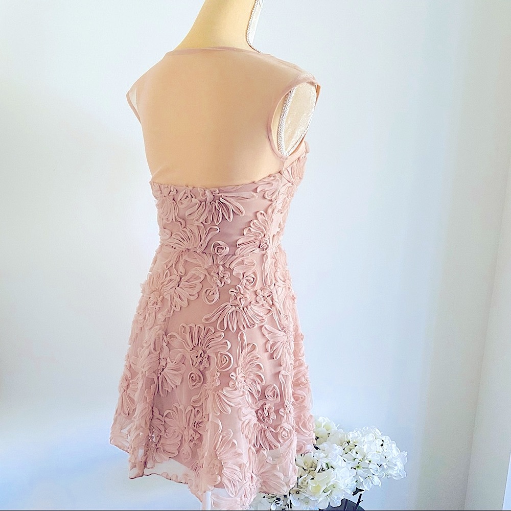 💕Fit and Flare Mesh Dress SZ S - Picture 14 of 15